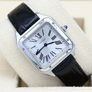 Cartier Santos WSSA0023 (3)