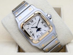 Cartier Santos 119901 (4)